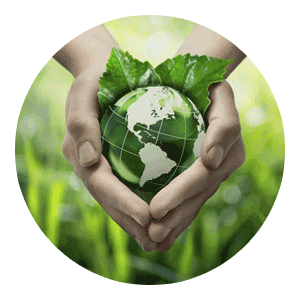 SIR Go Green