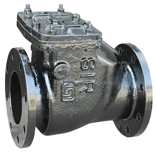 Reflux Valve 