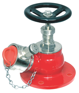 Fire Hydrant Valve